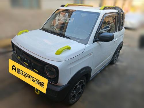 Geely Galaxy Panda