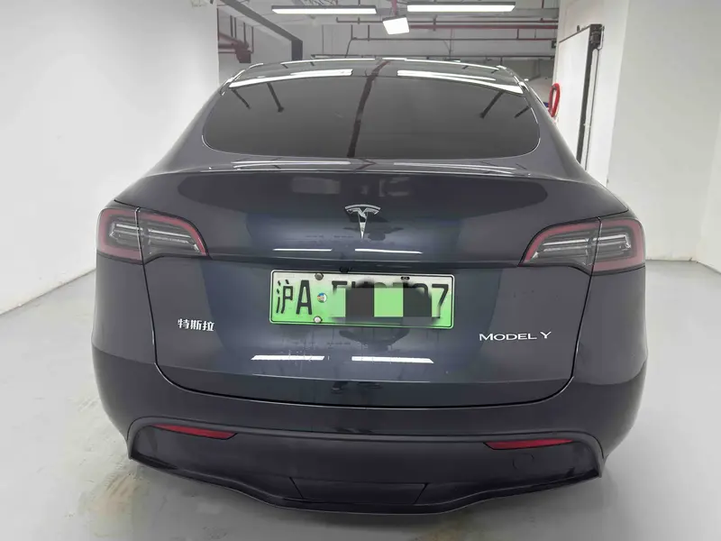 Tesla Model Y — фото 5