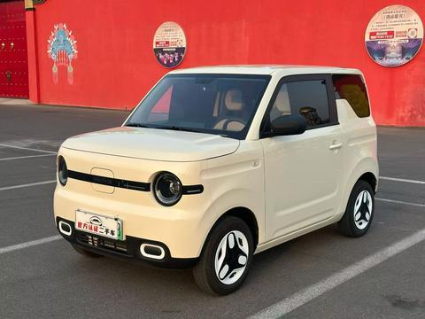 Geely Galaxy Panda