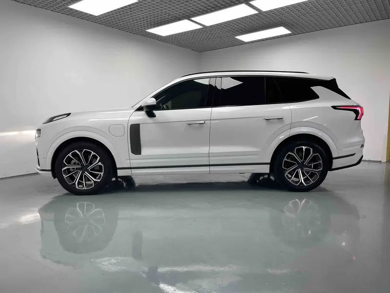 Lynk&Co Lynk & Co 09 EM-P 2.0 TD Halo — фото 4