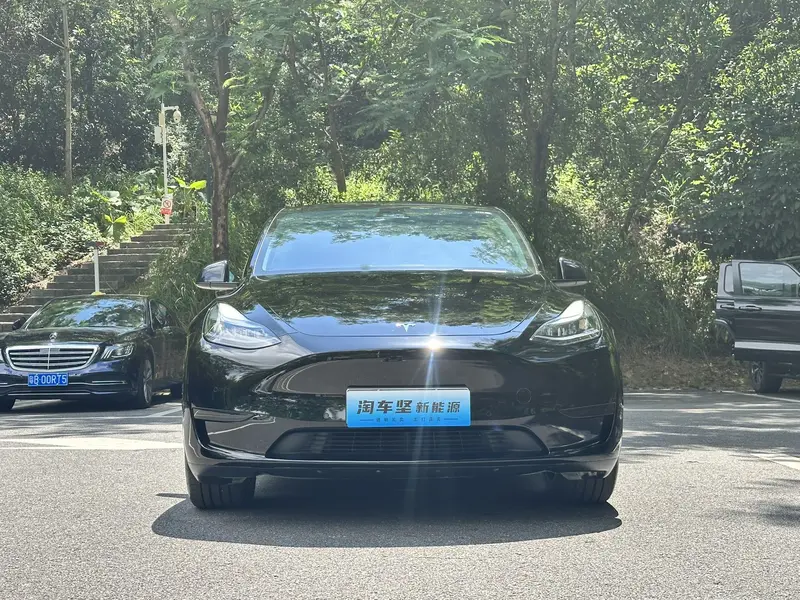 Tesla Model Y — фото 2
