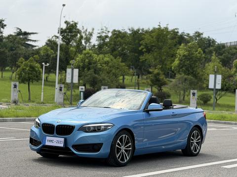 BMW 2 Series (Import)