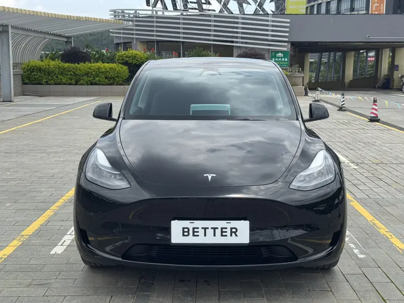 Tesla Model Y — фото 2