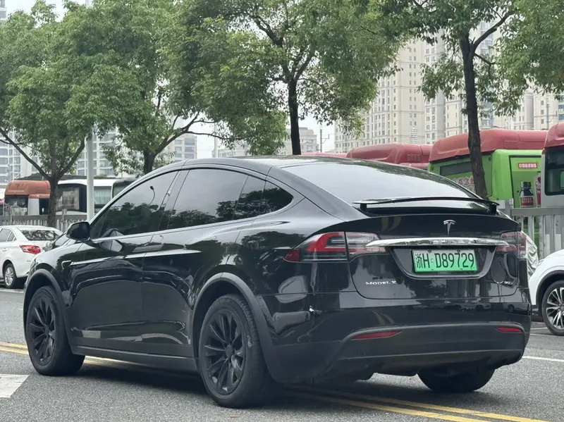 Tesla Model X 75 D — фото 4