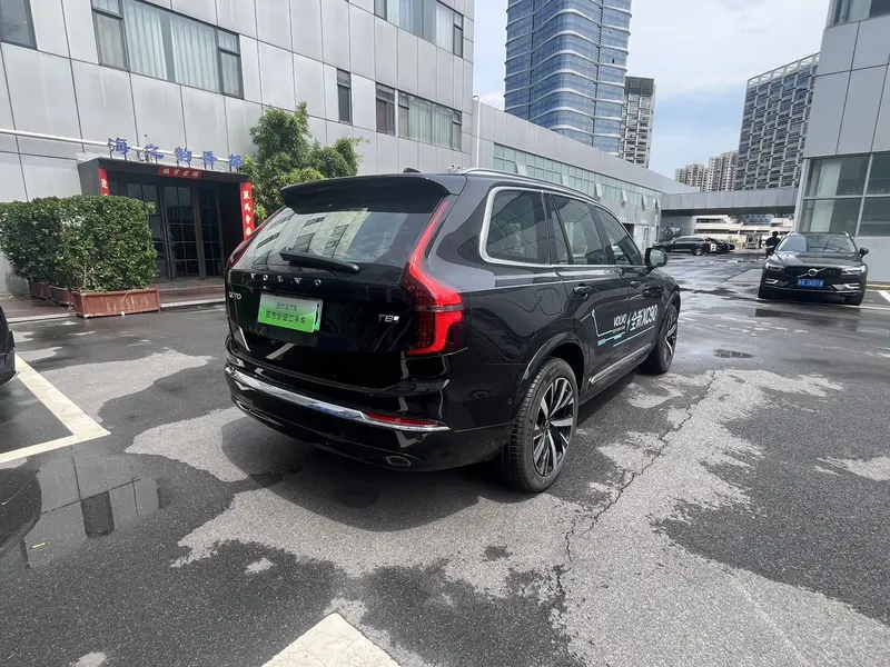 Volvo XC 90 PHEV E T 8 Luxury 7 — фото 7