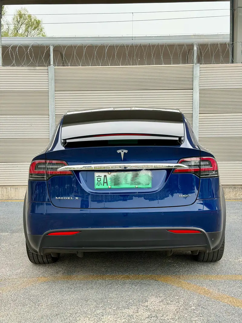 Tesla Model X 100 D — фото 5