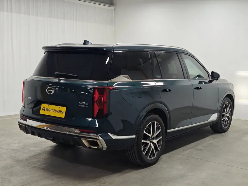Trumpchi GACTrumpchi GS8 — фото 7