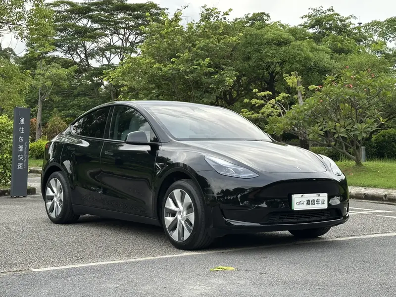 Tesla Model Y — фото 3