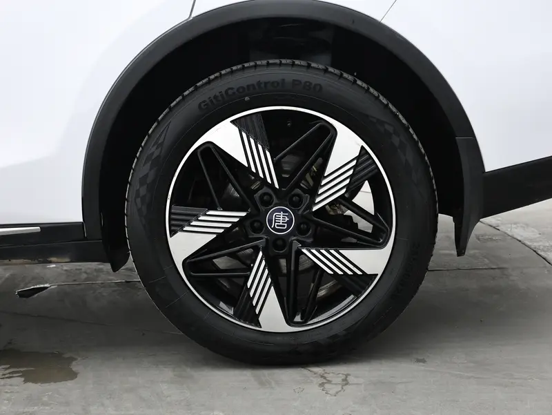 BYD Tang DM-i 112 KM Premium — фото 4