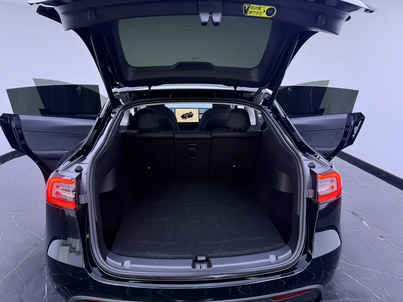 Tesla Model Y — фото 14