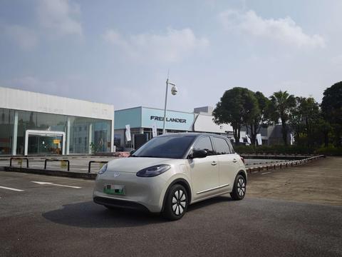 Wuling Bingo