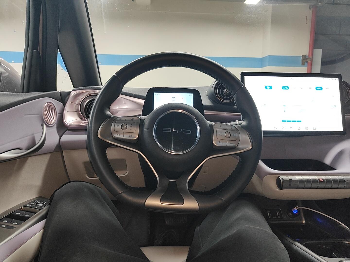 BYD Dolphin 2021 Fashion