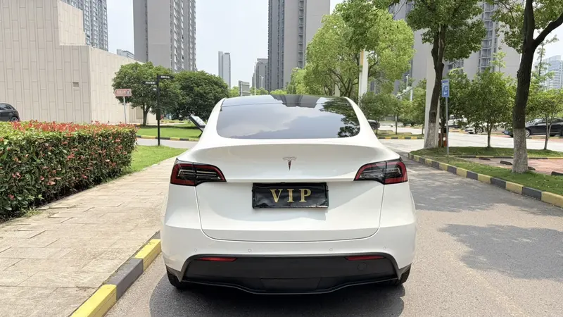 Tesla Model Y — фото 4