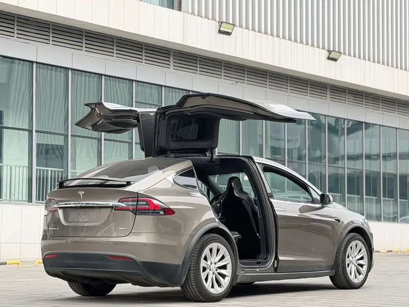 Tesla Model X 60 D — фото 7