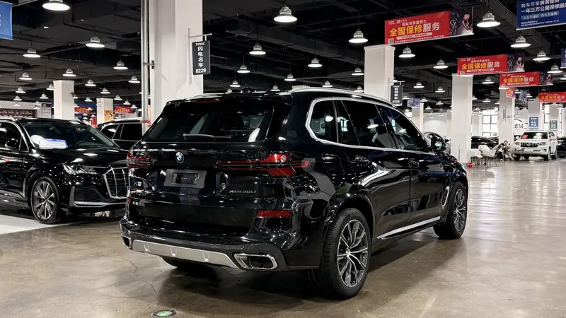 BMW X5 xDrive30Li M спортпакет — фото 6