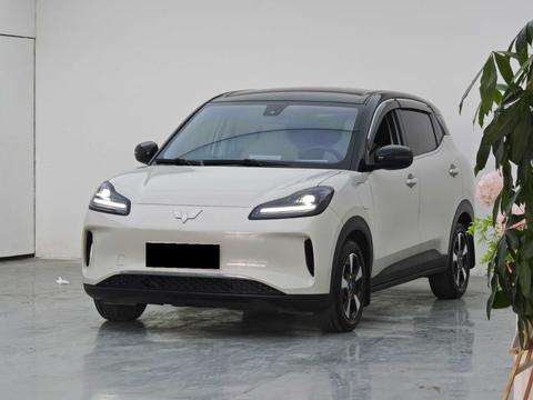 Wuling BinguoPLUS PLUS 2024 330km мест