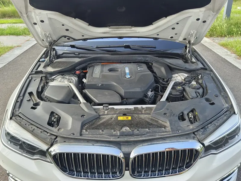 BMW 5 PHEV 530 Le Luxury Package — фото 10