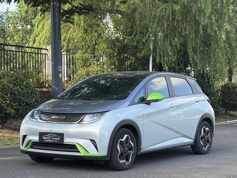 BYD Dolphin 2021 Fashion
