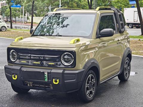 Geely Galaxy Panda