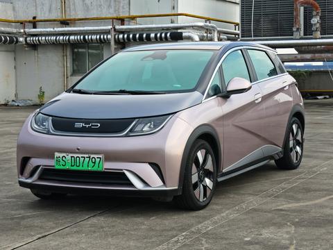 BYD Dolphin