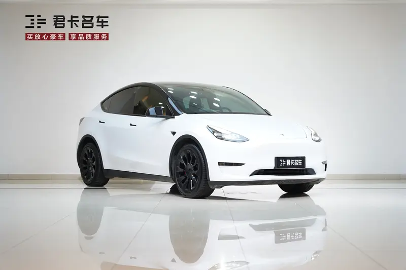 Tesla Model Y — фото 3