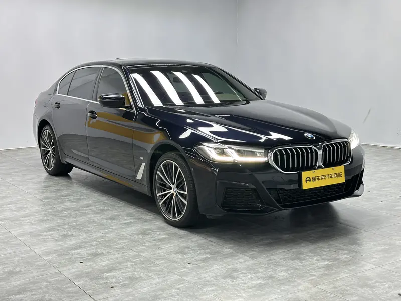 BMW 5 530 Li M Sport Package — фото 3