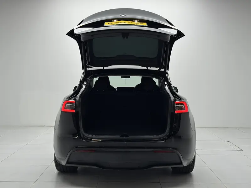 Tesla Model Y Performance — фото 20