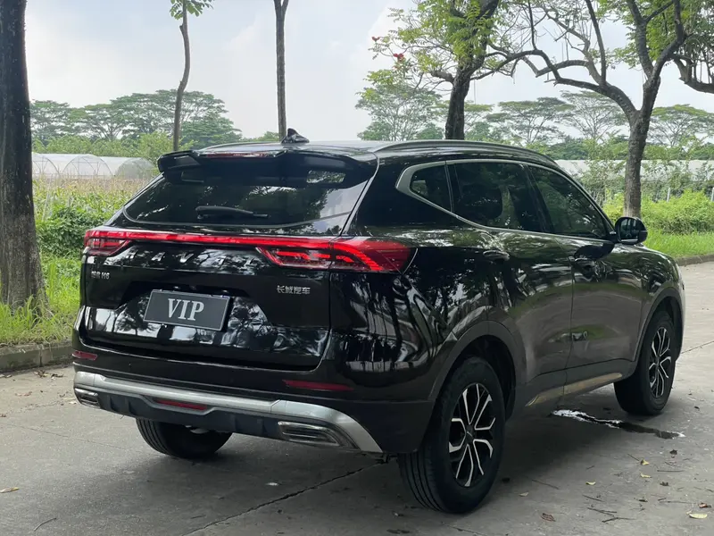 Haval H6 — фото 7