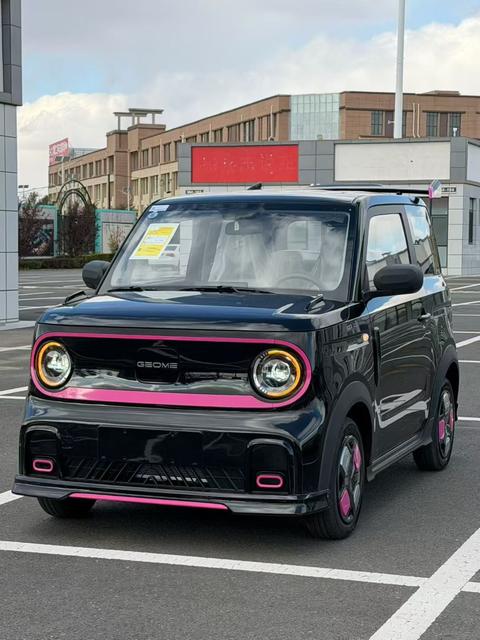 Geely Galaxy Panda