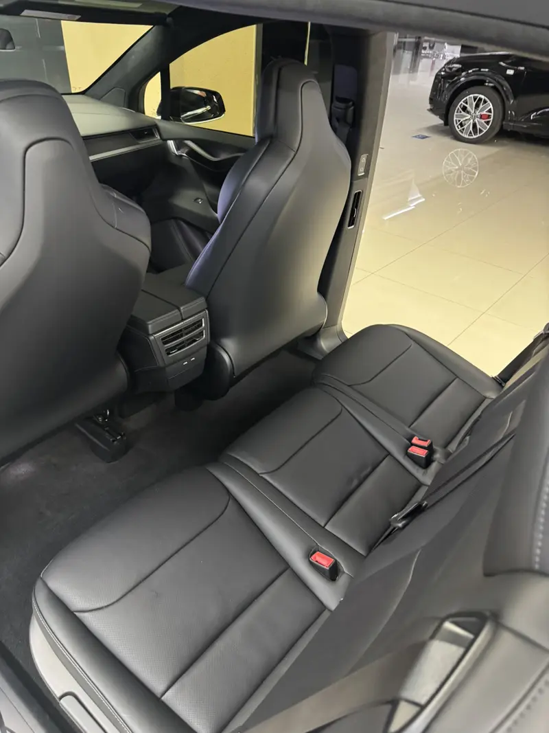 Tesla Model X Performance — фото 6