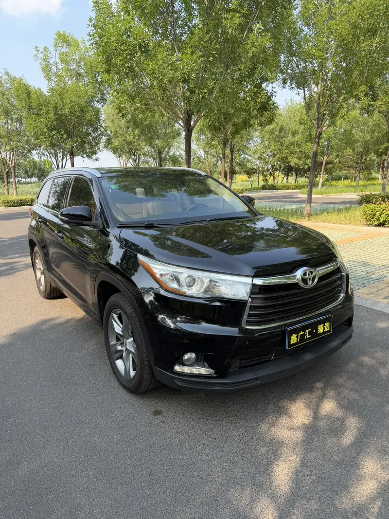 Toyota Highlander 2.0 T 4 WD Luxury 7 — фото 3