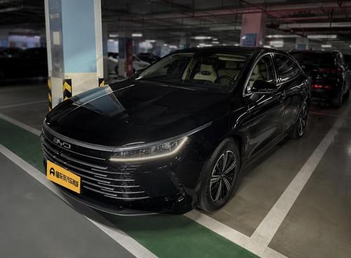 BYD Destroyer 05 05 2023 DM-i Champion 55KM Luxury