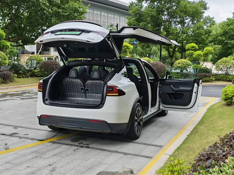 Tesla Model X — фото 7