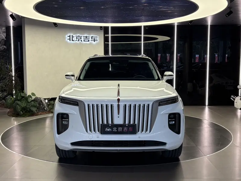 Hongqi E-HS9 — фото 2