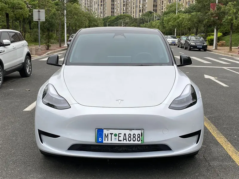 Tesla Model Y — фото 2