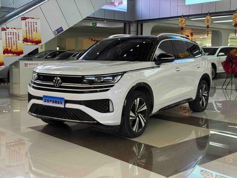 Volkswagen Tavendor, 2024 год