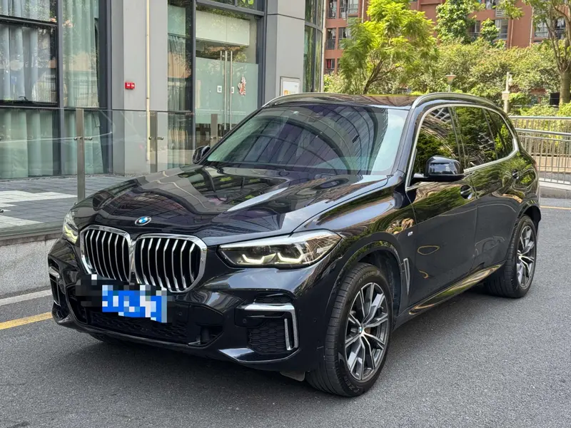 BMW X 5 x Drive 30 Li M Sport Package