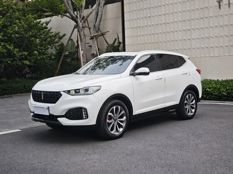 WEY VV 6 2.0 T 2 WD VI — фото 1
