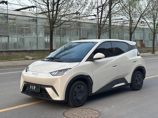 BYD Seagull - фото 1