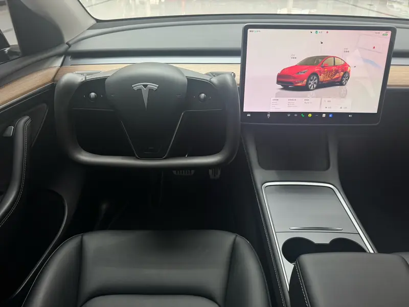 Tesla Model Y — фото 13