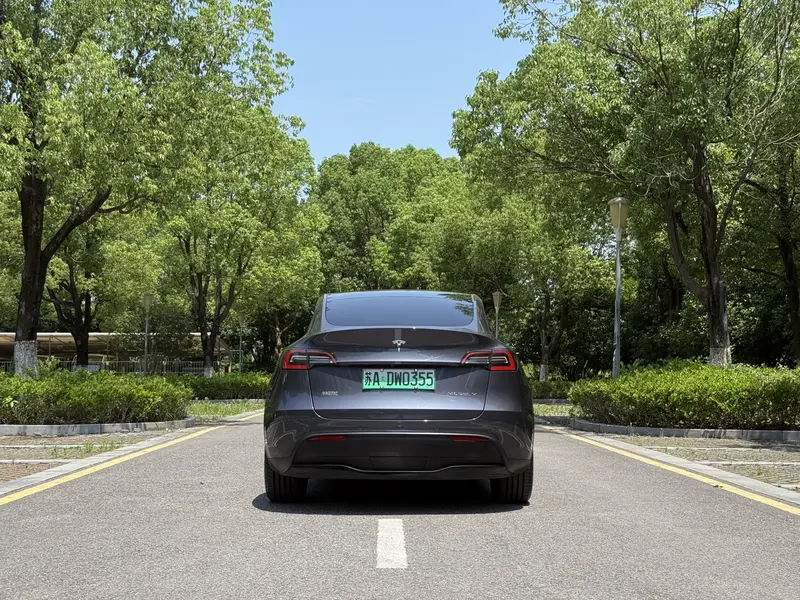 Tesla Model Y — фото 6