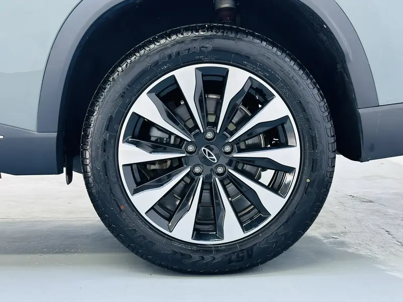 Chery Tiggo 8 PLUS 290 TGDI DCT Premium — фото 11
