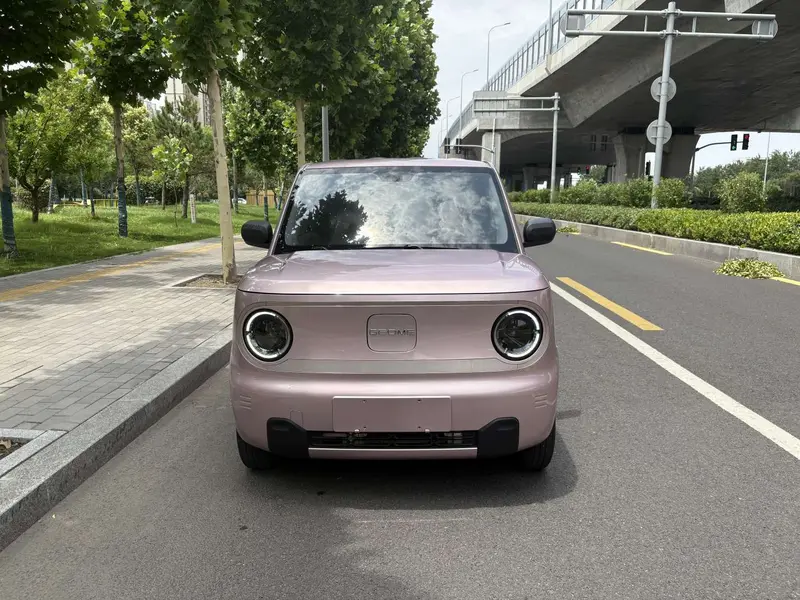 Geely Galaxy Panda — фото 2