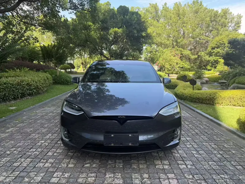 Tesla Model X — фото 2