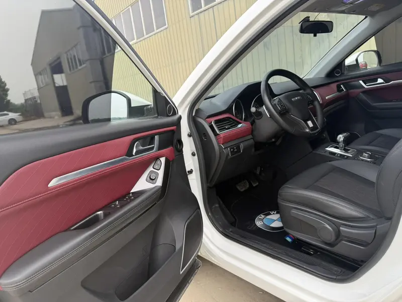 Haval H6 Coupe — фото 16