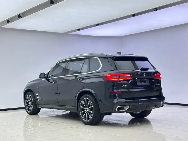 BMW X5 xDrive 30Li M спортпакет — фото 4
