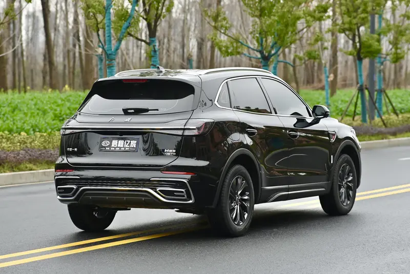 Hongqi HS 5 2.0 T 2 WDPro — фото 6