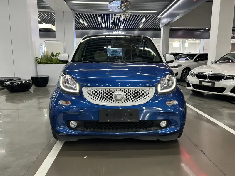 Smart fortwo 1.0 L 52 Special Edition V — фото 2