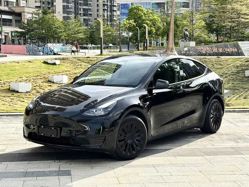 Tesla Model Y — фото 1