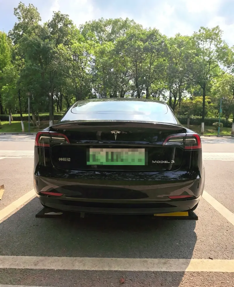 Tesla Model 3 задний привод — фото 4